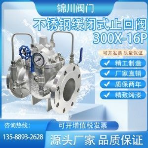 300X緩閉止回閥