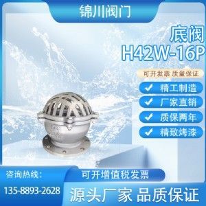 H42W底閥