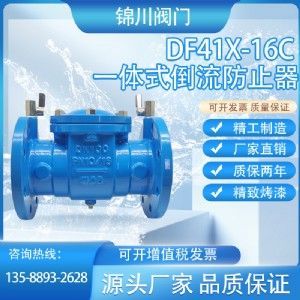 DF41X一體式倒流防止器